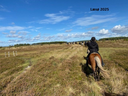 Klubtur Læsø 2025